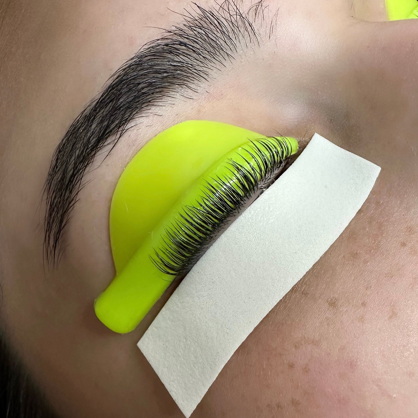 LASH LIFT SHEILDS